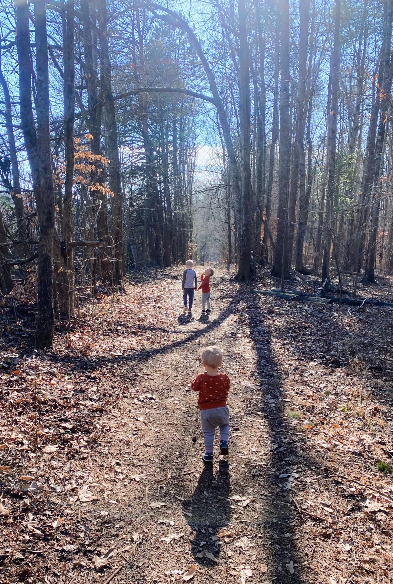 A Family Hike + Our Annual Valentine’s Day Mission