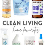 clean living home