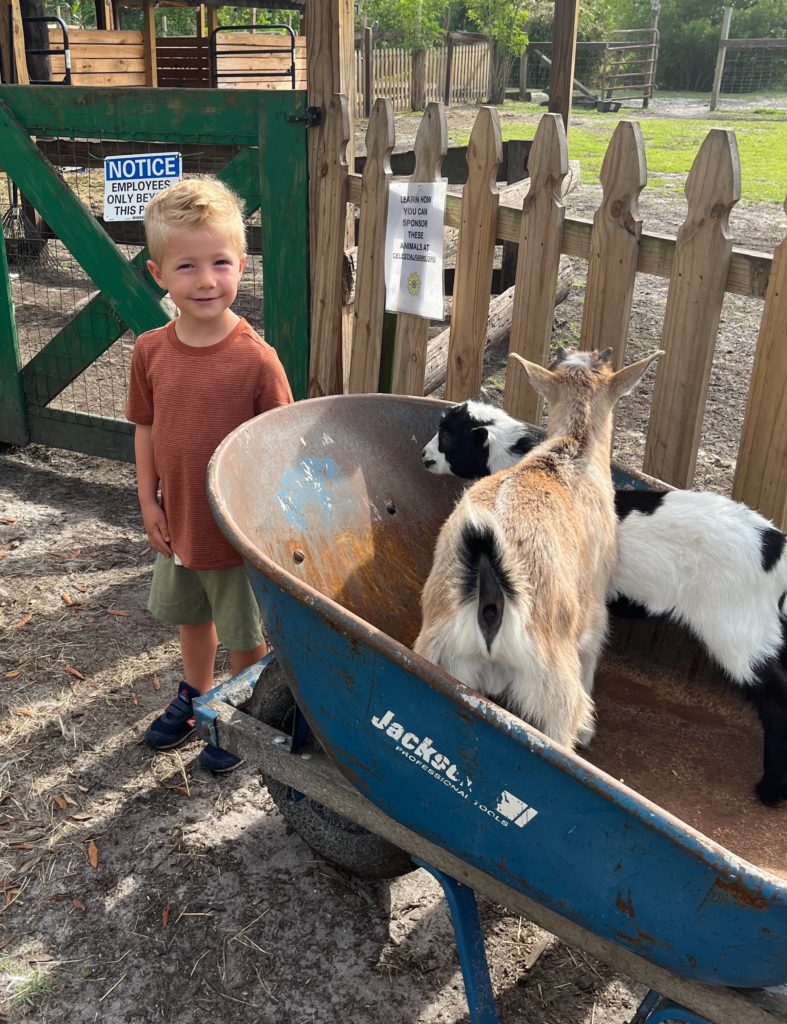 celestial farms jacksonville fl