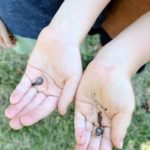 search for slug party game