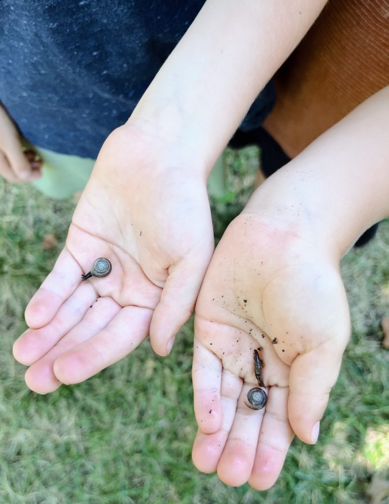 search for slug party game