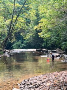 Camp Creek State Park