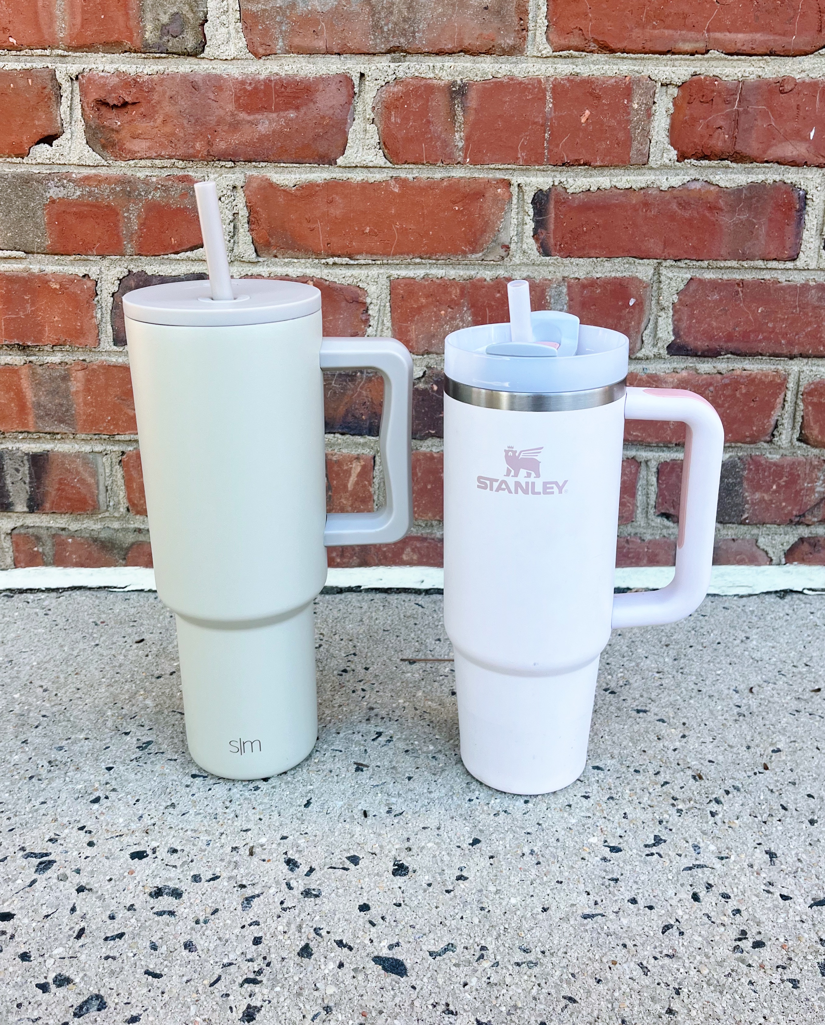 Simple Modern 30 oz Tumbler with Handle and Straw Lid