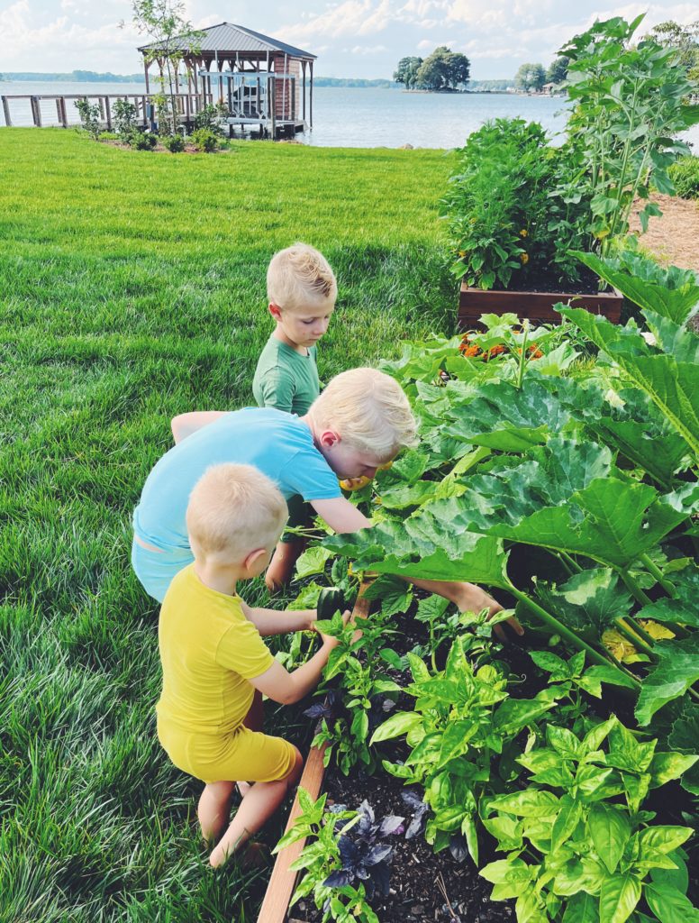 kids gardening