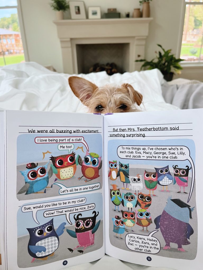 owl diaries