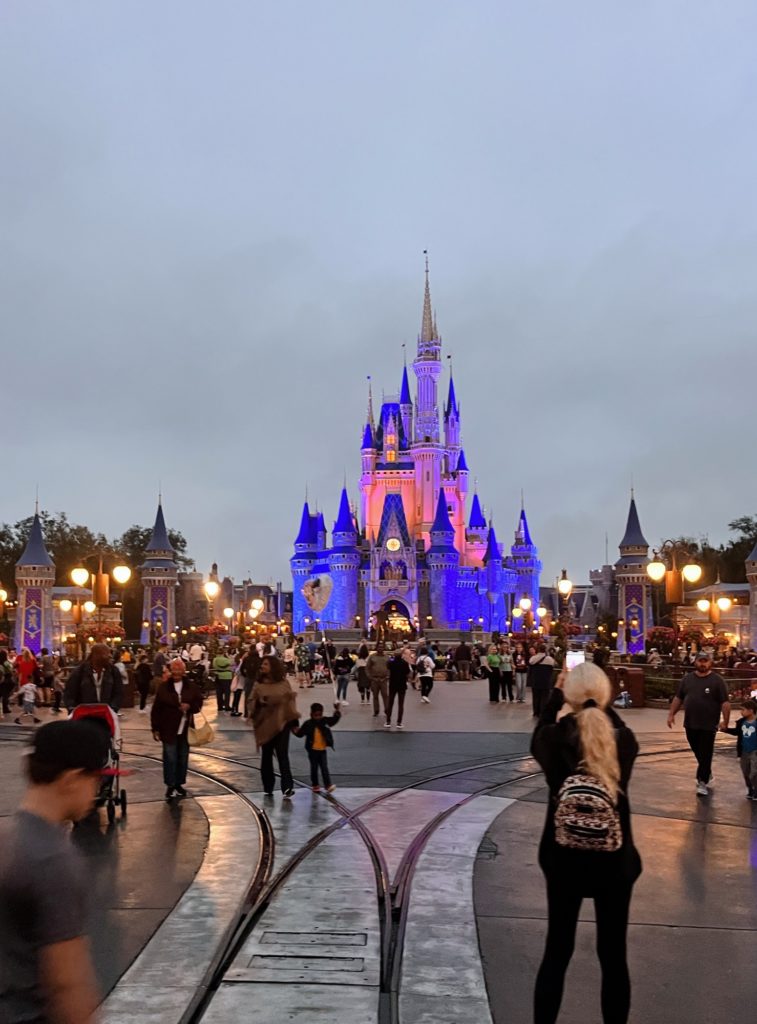 a day at magic kingdom