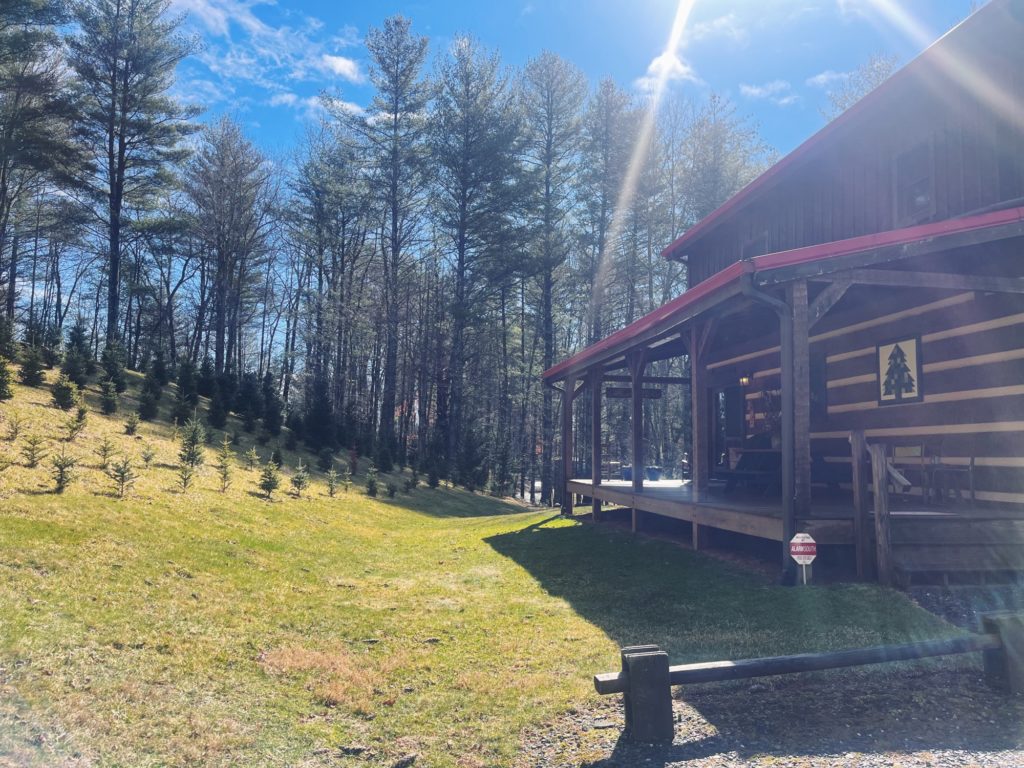 mini Christmas tree farm mini Christmas tree farm