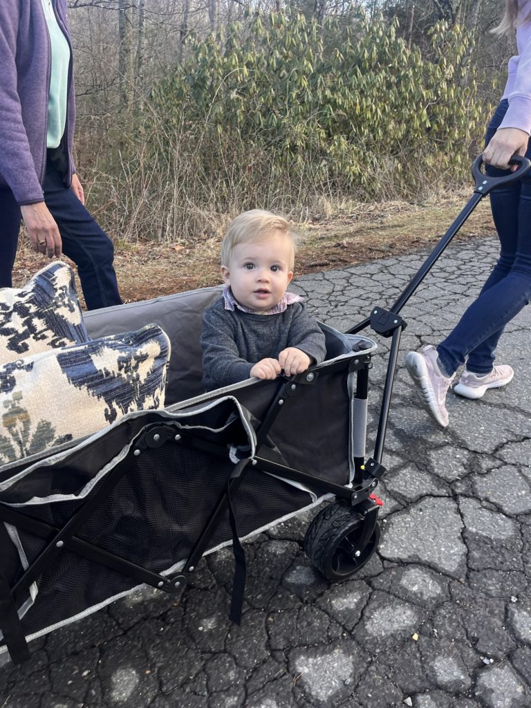 toddler in wagon toddler in wagon