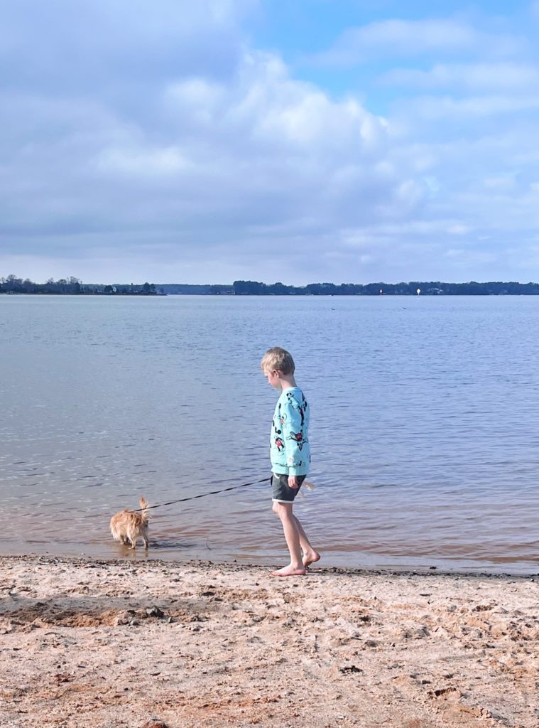 little boy and dog beach time little boy and dog beach time