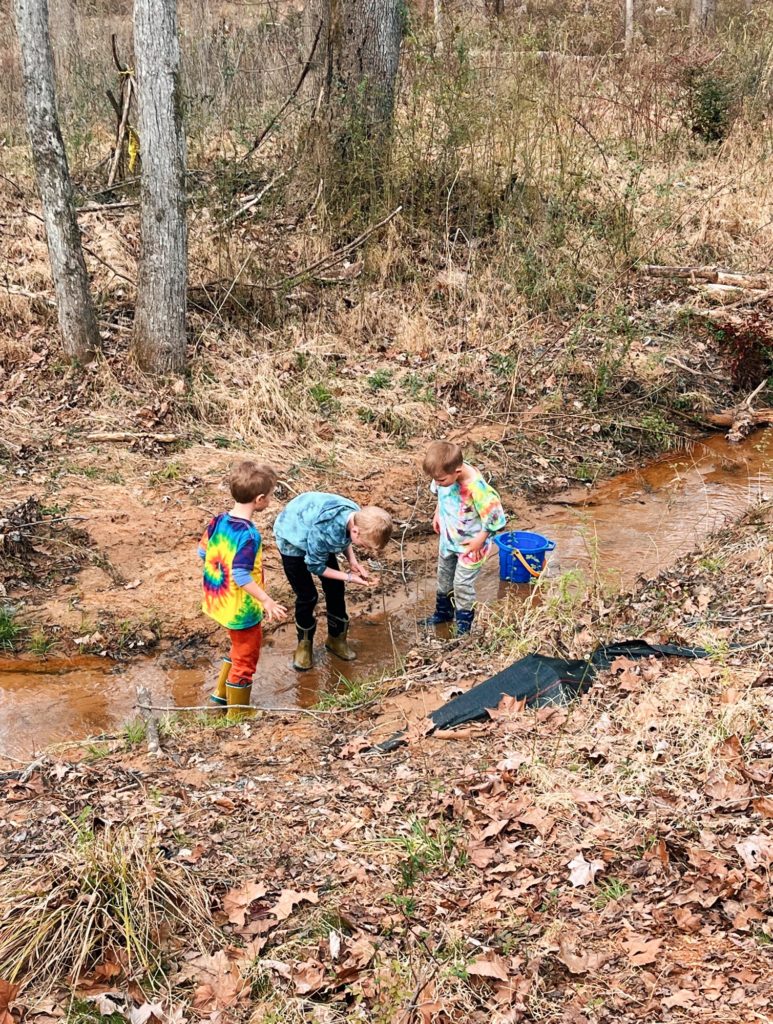 backyard creek backyard creek | A Tuesday in the Life (March 2024)