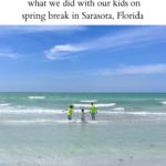 sarasota with kids things to do