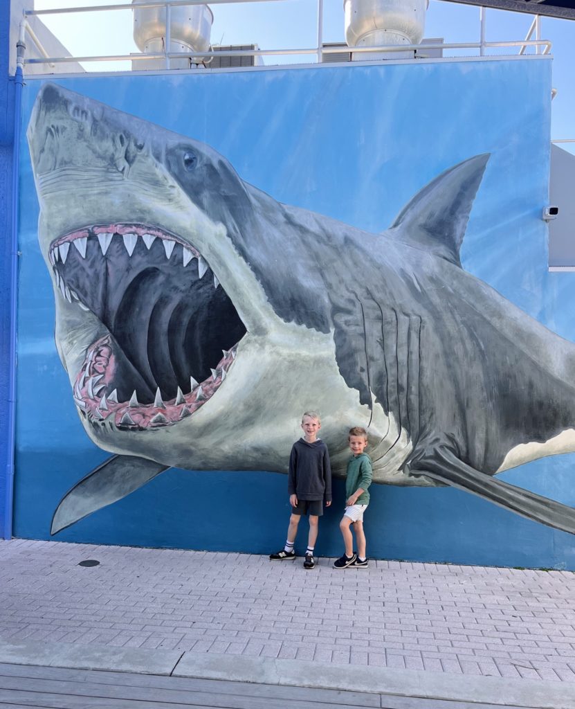 huge shark mural