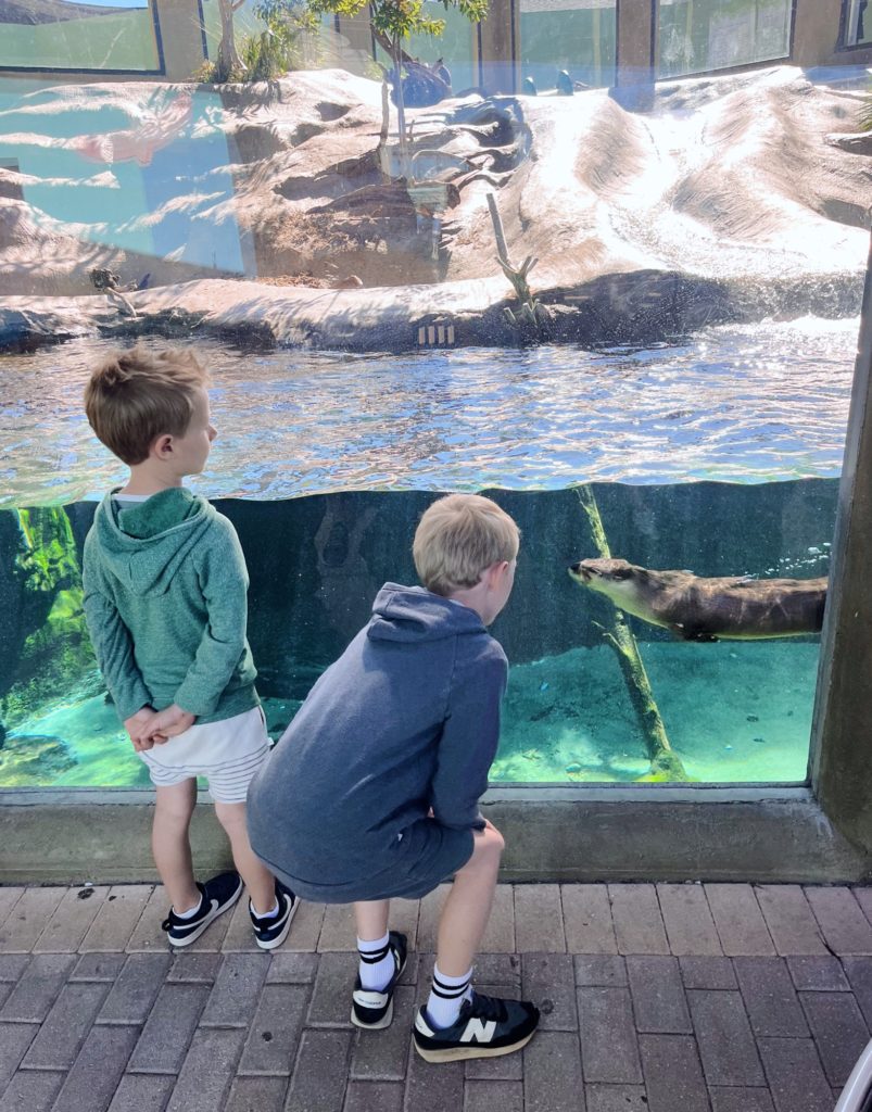 Mote Marine Aquarium & Laboratory
