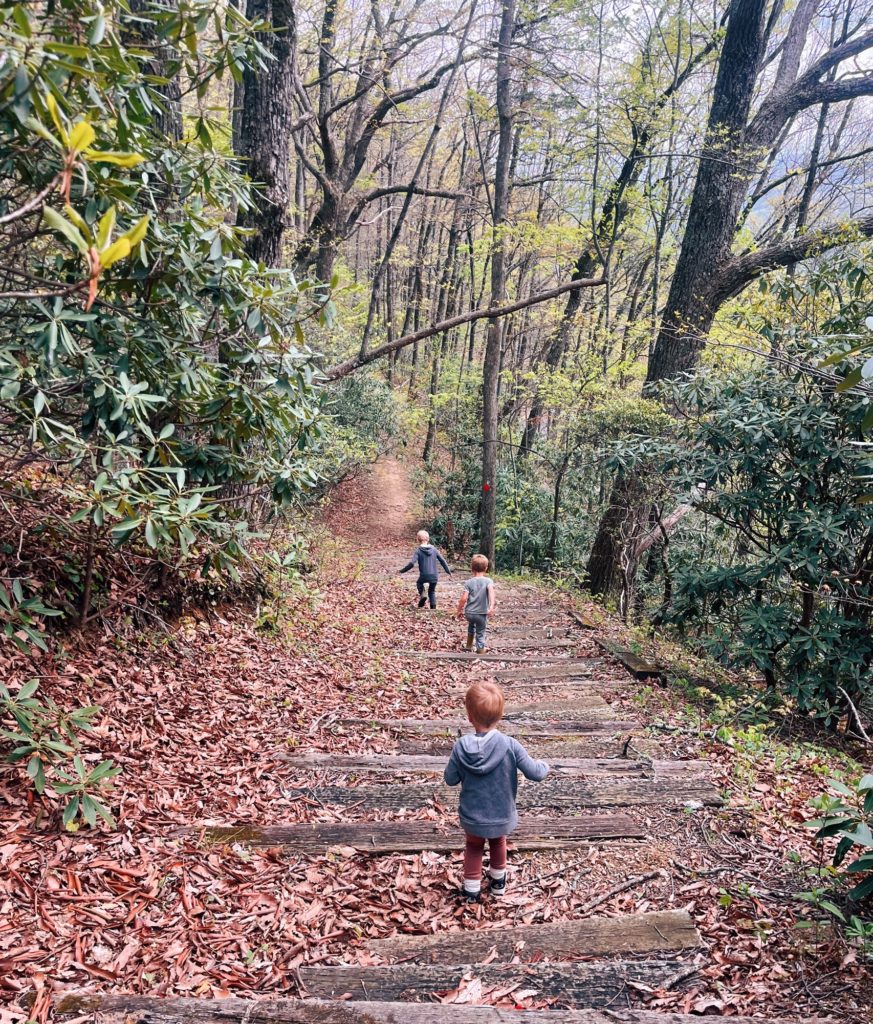 A Weekend at Wildacres Retreat