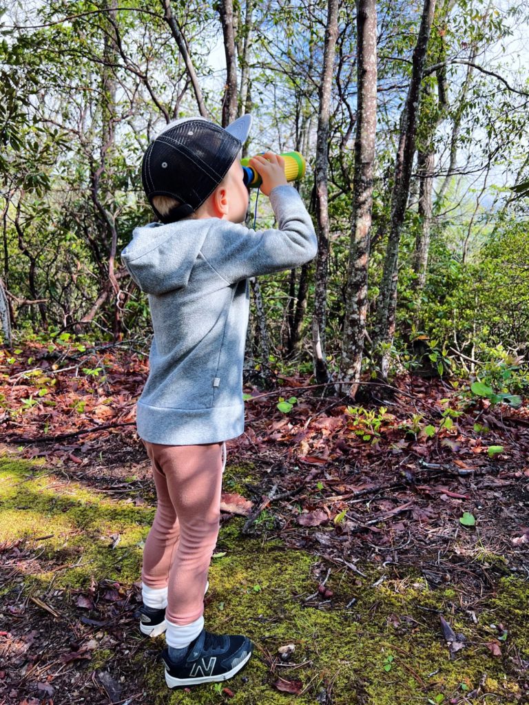 Nature's Treasures session