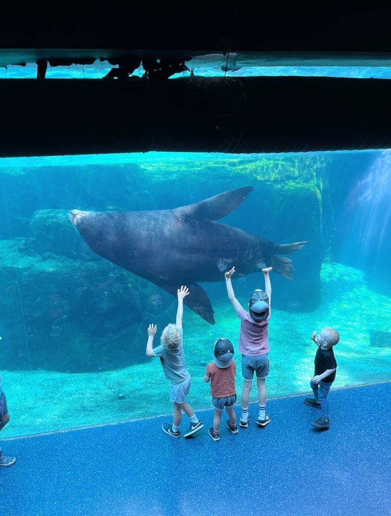 Mother's Day Weekend 2024