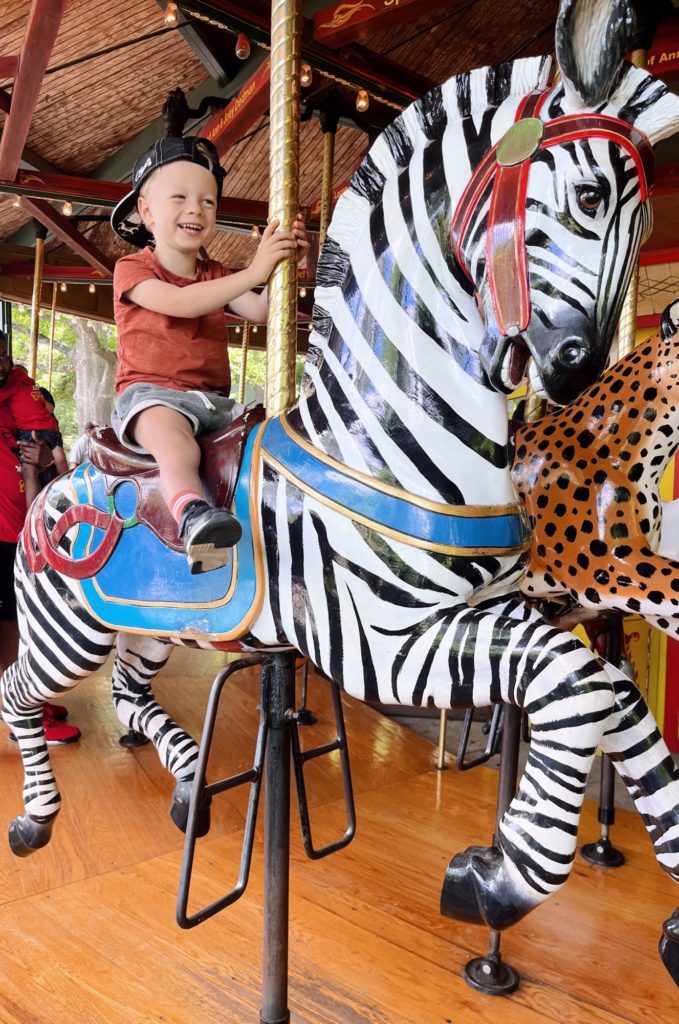 rhett 3 years old carousel