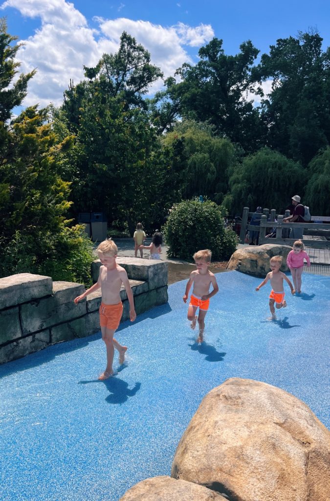 columbia zoo waterfall junction