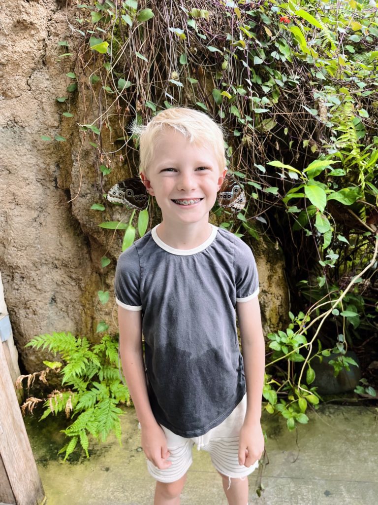 chase 8 years old butterfly house