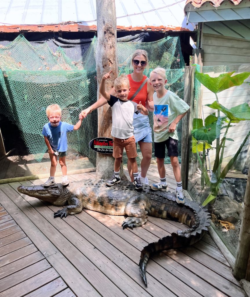 The Alligator Farm The Alligator Farm | Things I'm Loving Friday #515