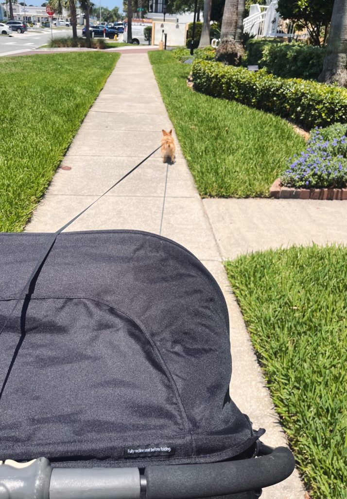 Amelia Island River Cruise + Final Florida Weekend