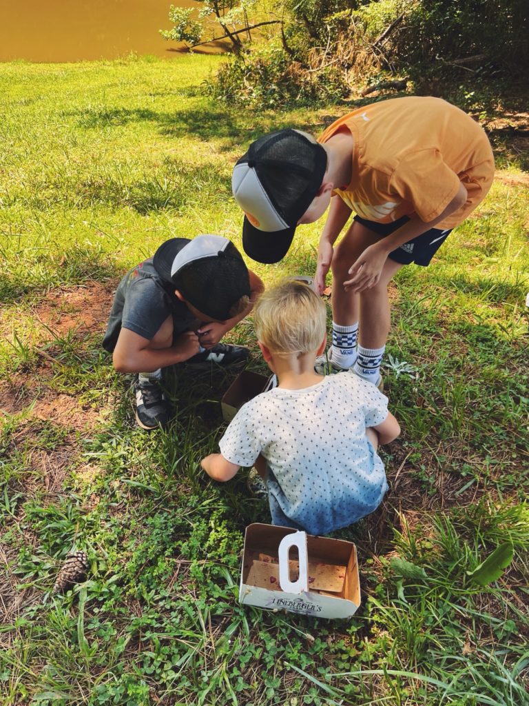 chase ryder rhett blueberries chase ryder rhett blueberries