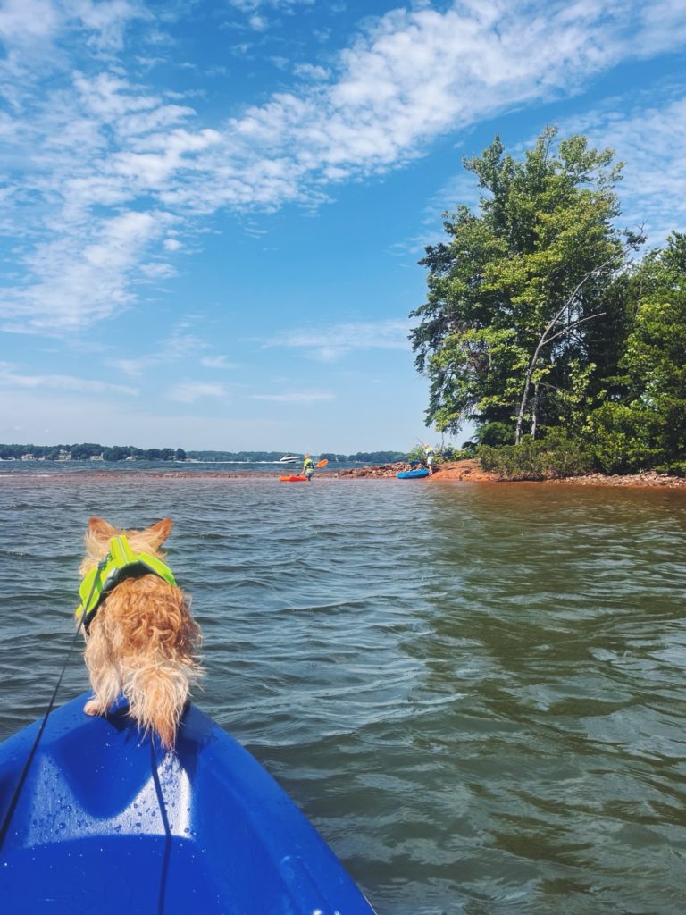 pepper kayak pepper kayak | House of the Revolving Door