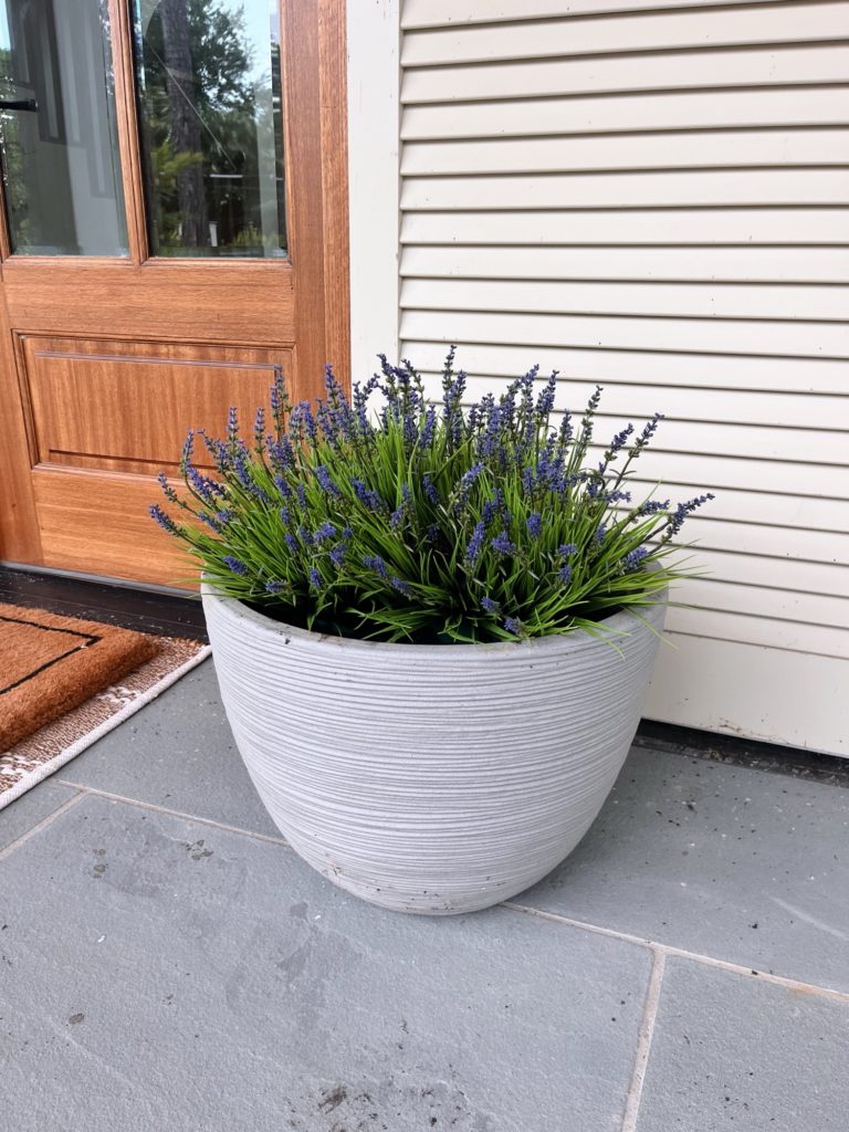amazon fake plant | Things I'm Loving Friday #520