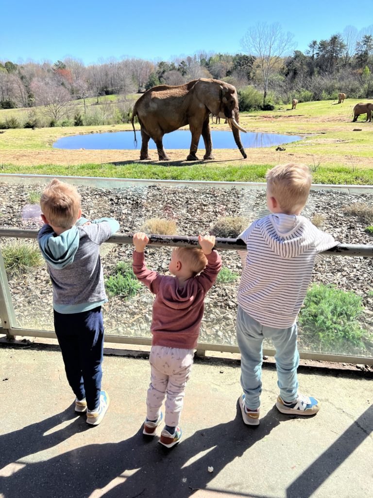North Carolina Zoo