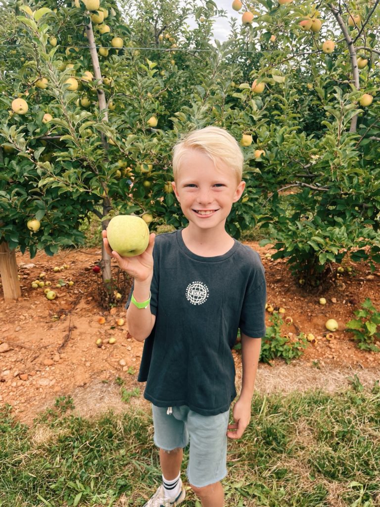 Chase 9 years old Chase 9 years old