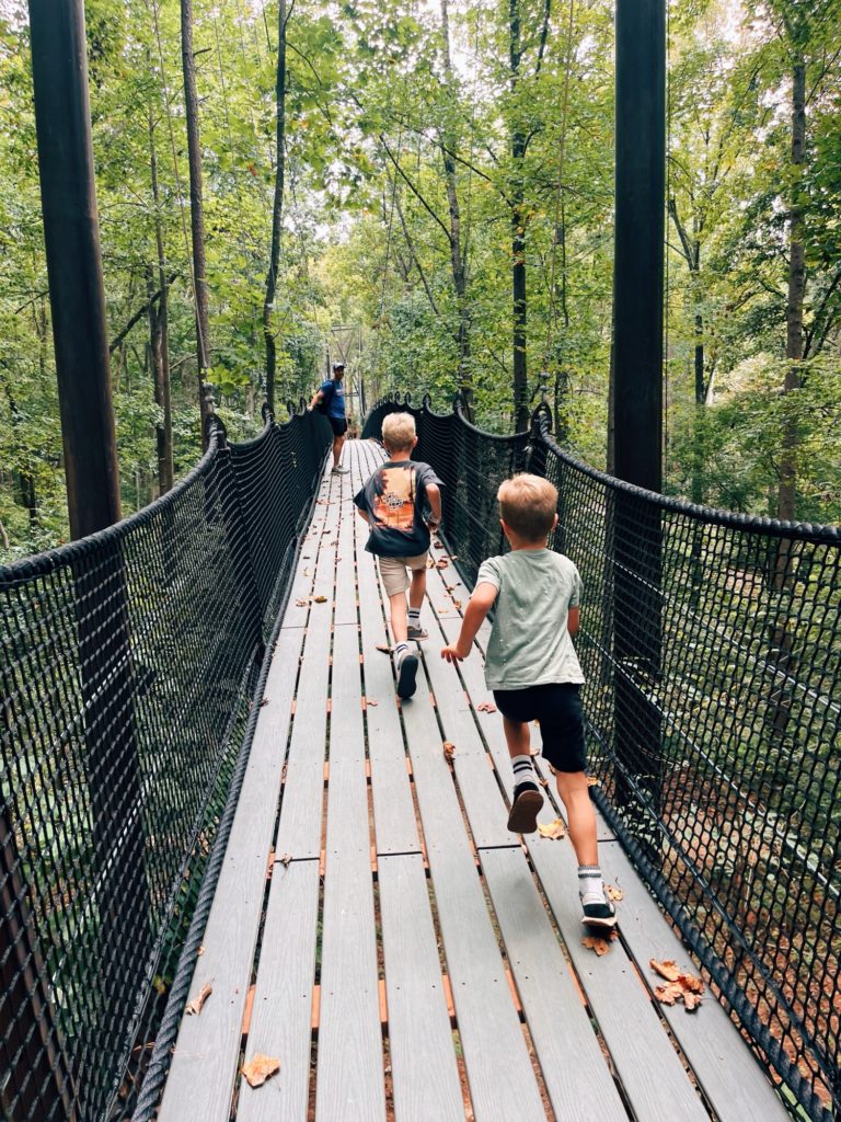 suspension bridge