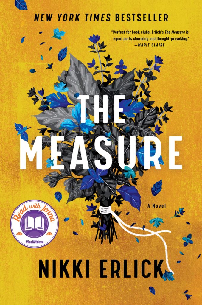 The Measure by Nikki Erlick