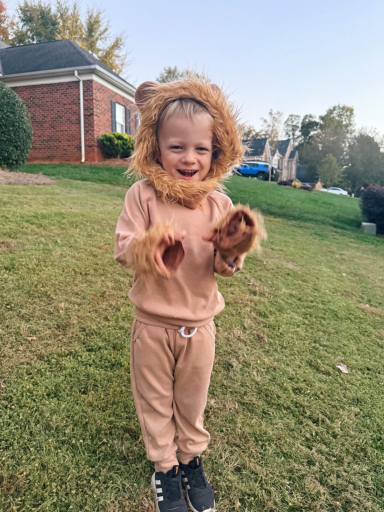 Rhett lion Rhett lion