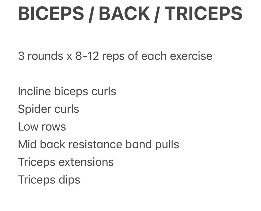 back biceps triceps workout