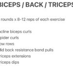 back biceps triceps workout