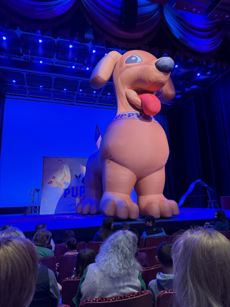puppy pals live