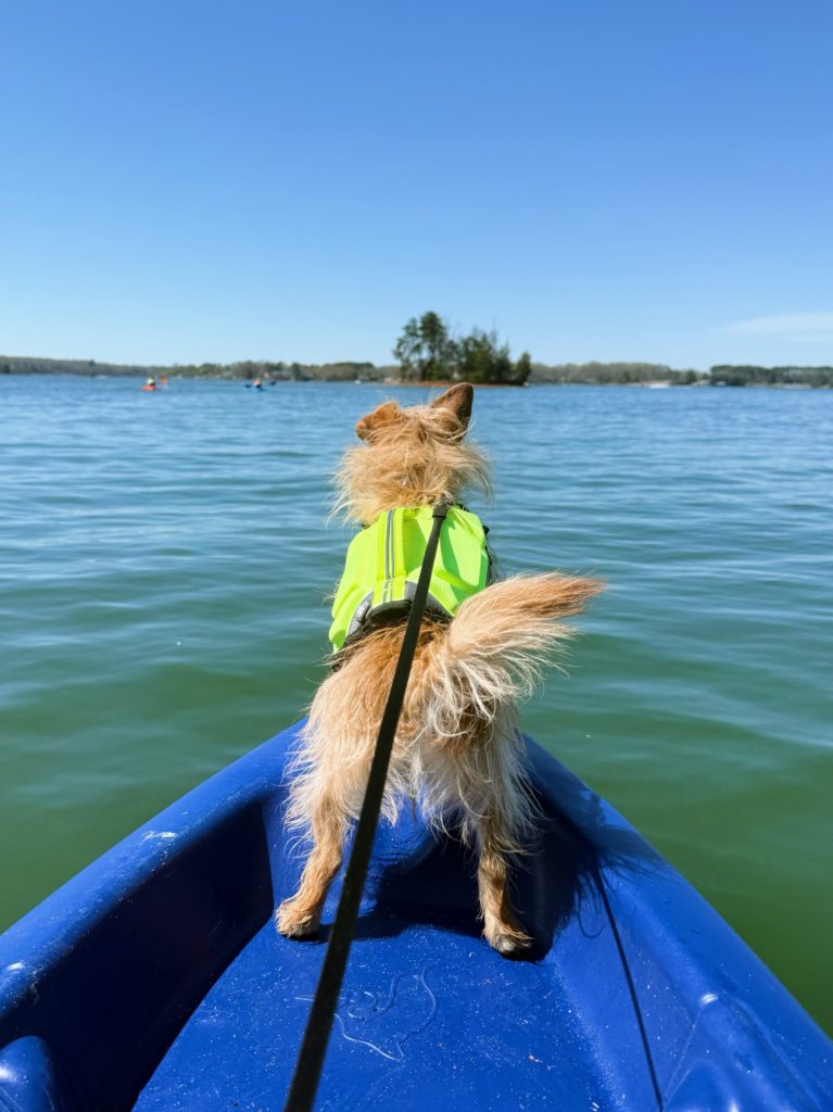 pepper kayak