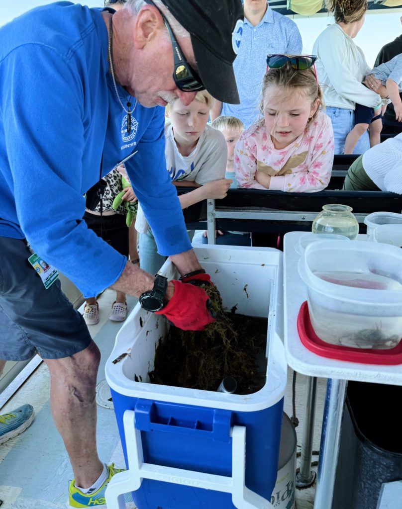 mote marine sea life encounters cruise