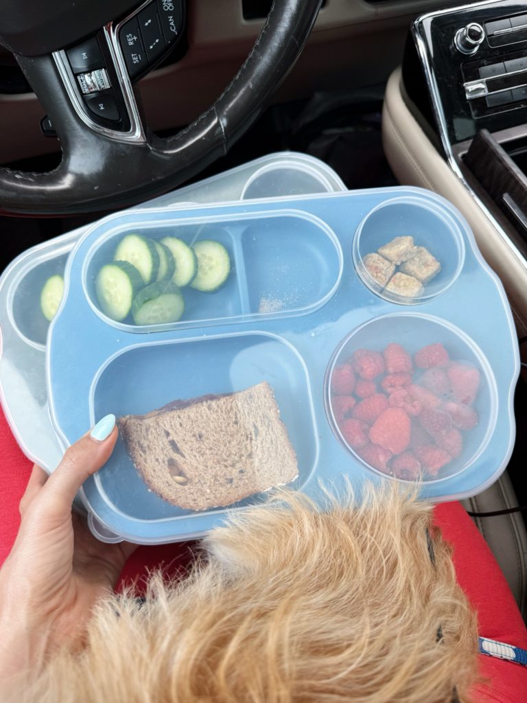 divided plates with lids
