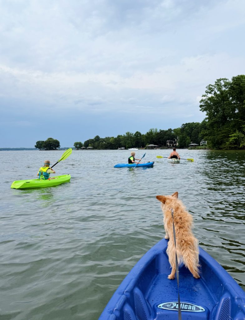 kayaking kayaking