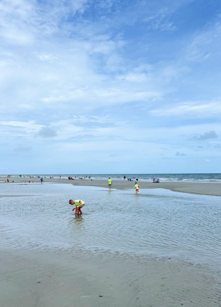 Things to Do in Hilton Head with Kids
