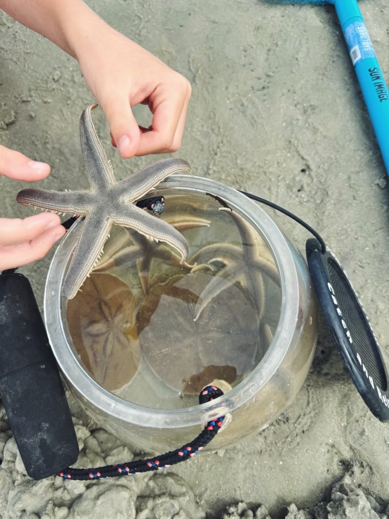 starfish hilton head with kids
