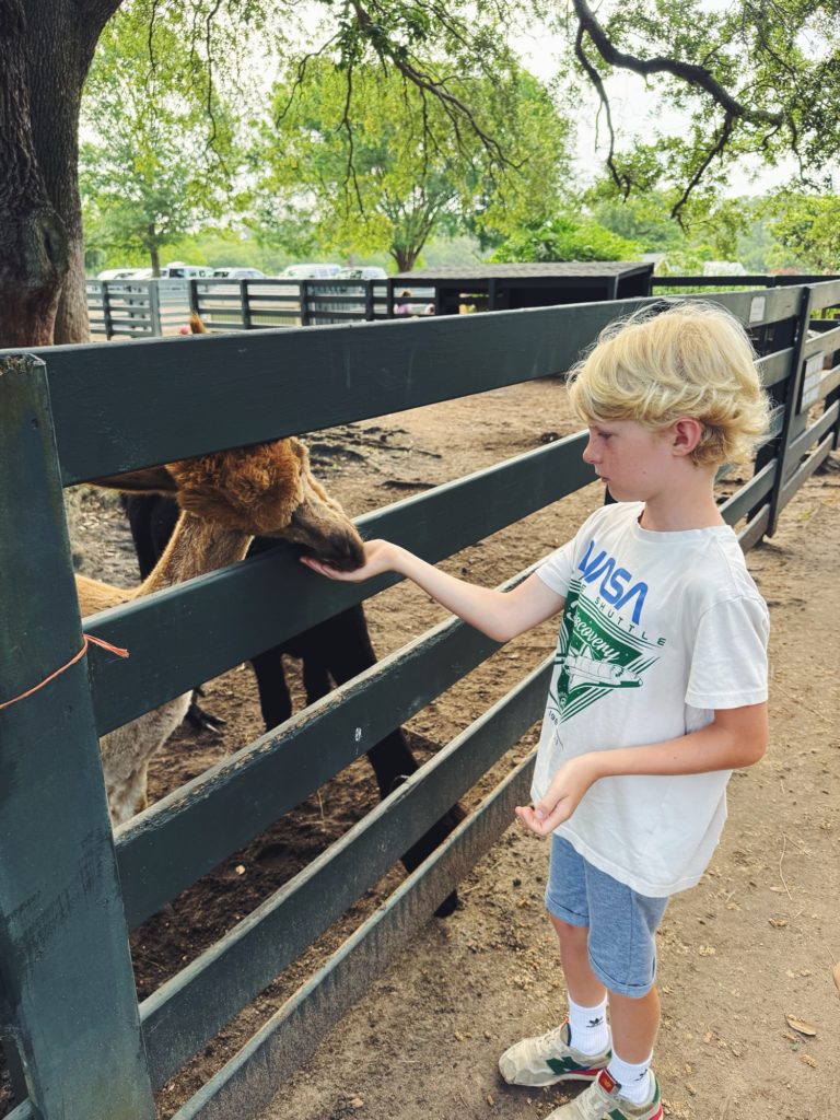 Lawton Stables hilton head with kids