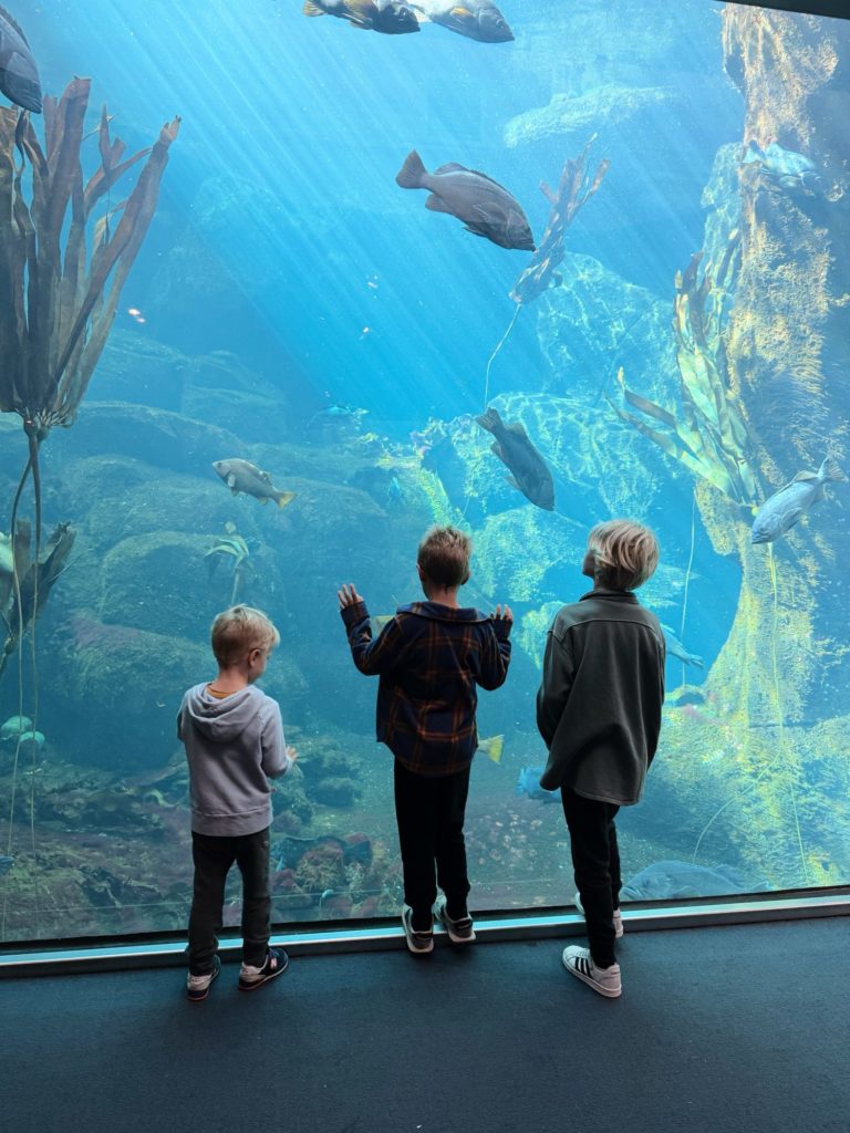 Alaska Sea Life Center
