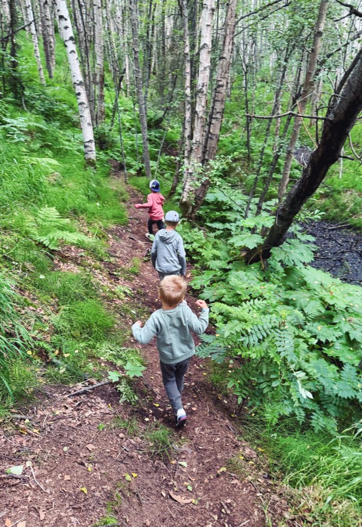 Earthquake Park | Alaska Family Vacation: Day Four