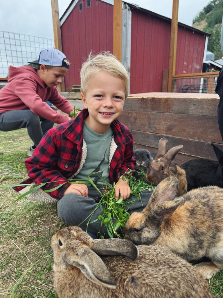 alaska family vacation reindeer farm rhett