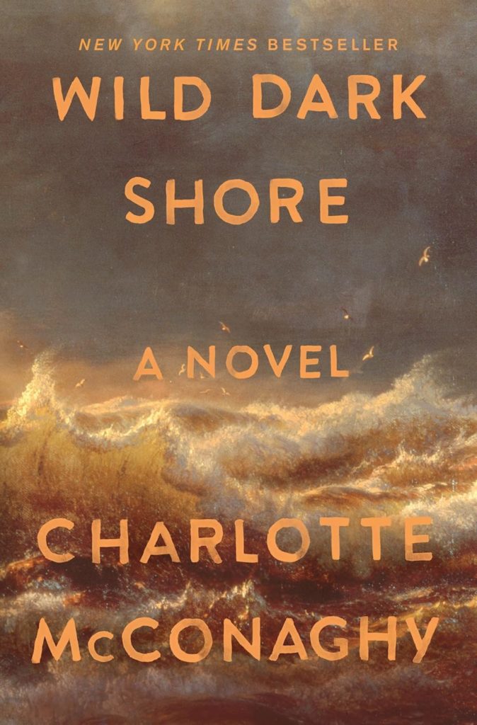 Wild Dark Shore by Charlotte McConaghy