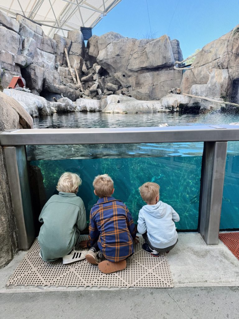 sea life center alaska