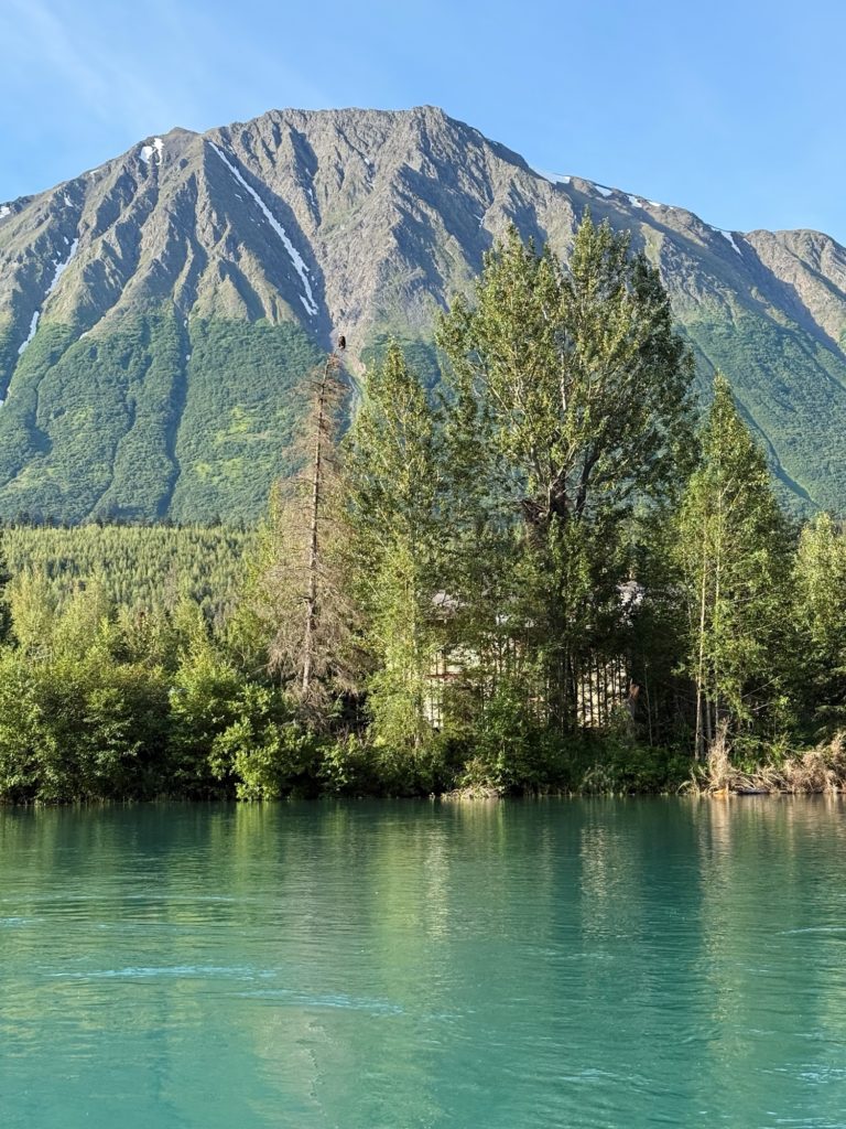 kenai river