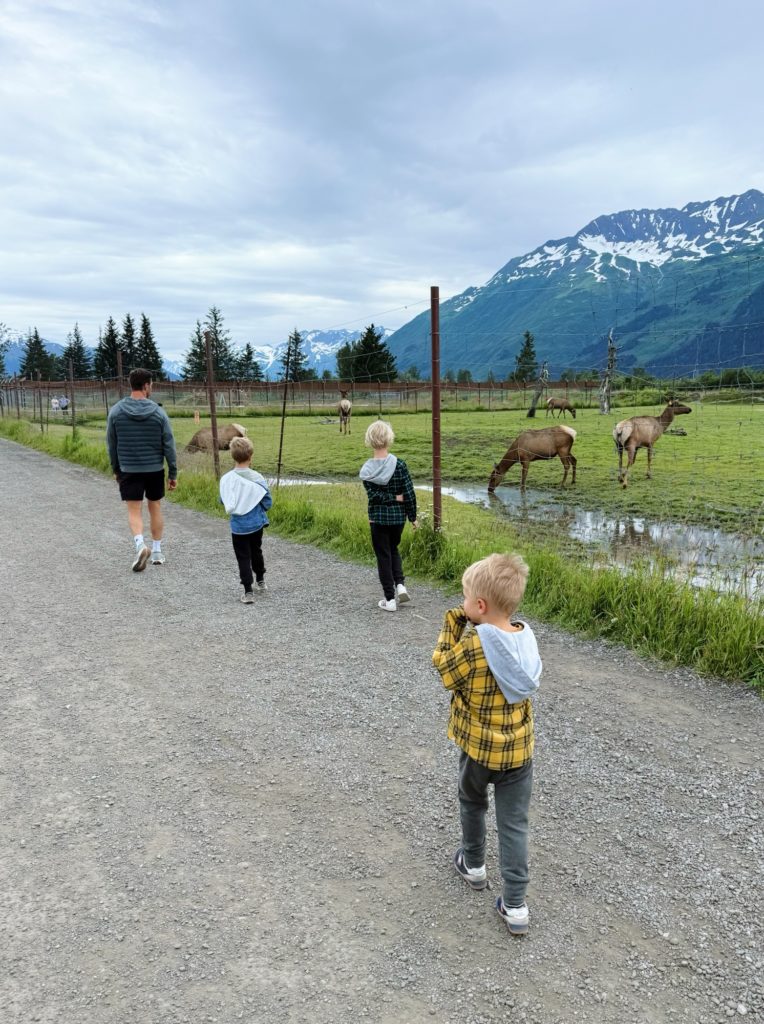 alaska wildlife conservation center alaska family vacation